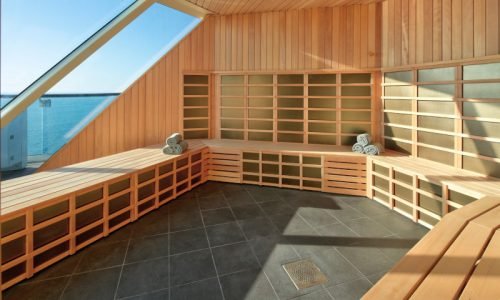 Ocean Cruise 32 SereniVoy Travel - Ocean cruise sauna room
