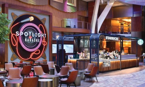 Ocean Cruise 28 SereniVoy Travel - Ocean cruise karaoke area