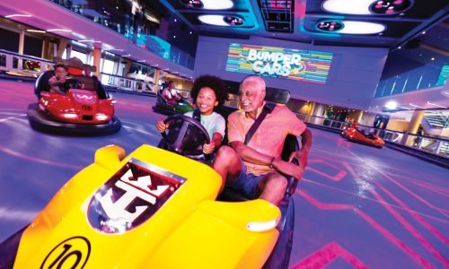 Ocean Cruise 20 SereniVoy Travel - Ocean cruise bumper car experience